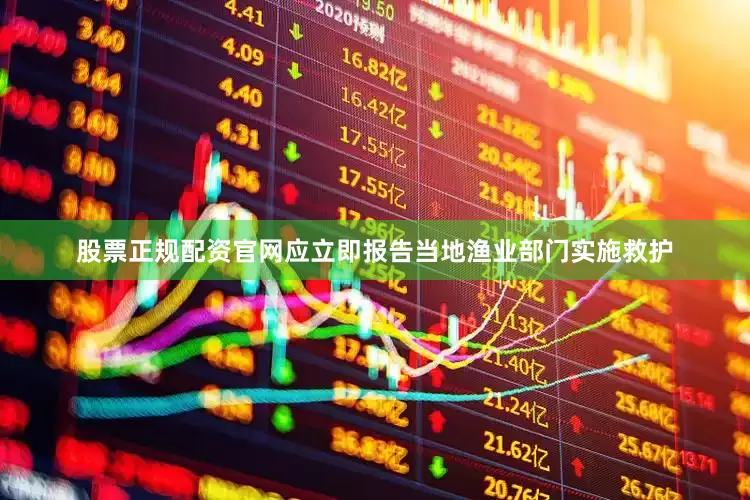 股票正规配资官网应立即报告当地渔业部门实施救护