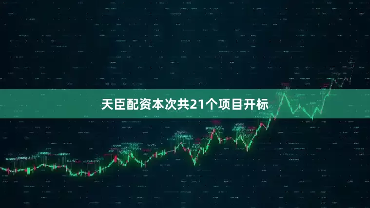 天臣配资本次共21个项目开标